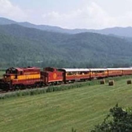 Honeymoon Getaway In Woods Near Noc And Smoky Mtn Rr Villa Bryson City Buitenkant foto