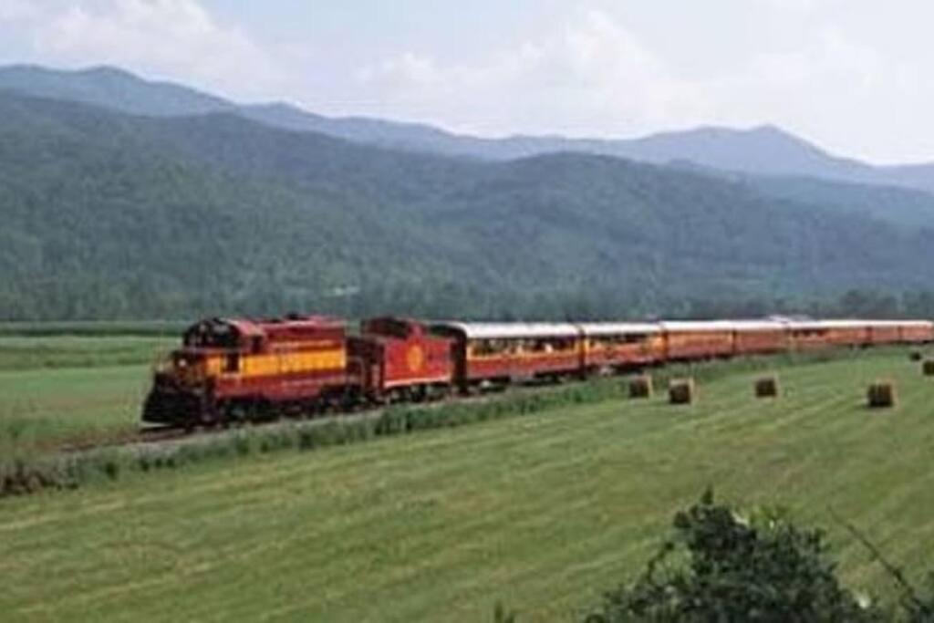 Honeymoon Getaway In Woods Near Noc And Smoky Mtn Rr Villa Bryson City Buitenkant foto