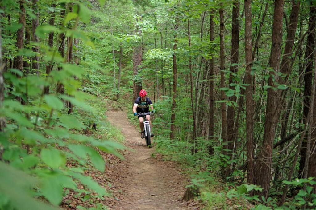 Honeymoon Getaway In Woods Near Noc And Smoky Mtn Rr Villa Bryson City Buitenkant foto