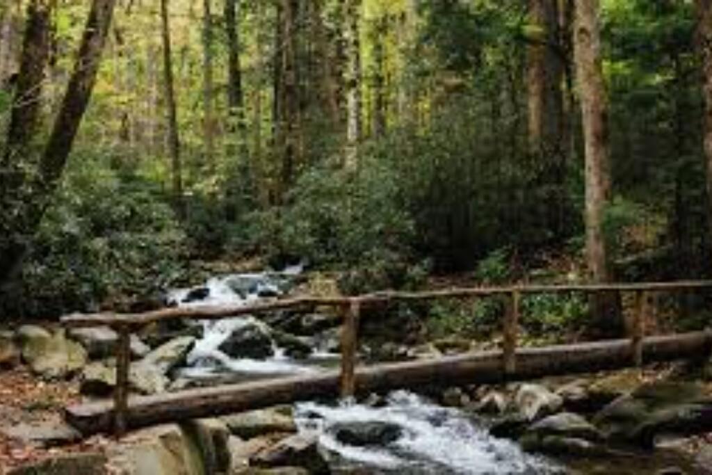 Honeymoon Getaway In Woods Near Noc And Smoky Mtn Rr Villa Bryson City Buitenkant foto